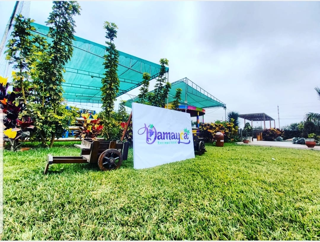 Ubicación de la Recepción